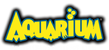 Aquarium title screen for Nintendo DS